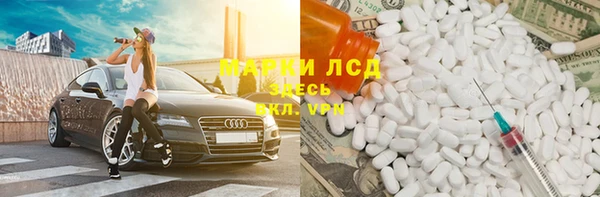 стафф Инта