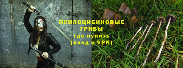 mix Белокуриха