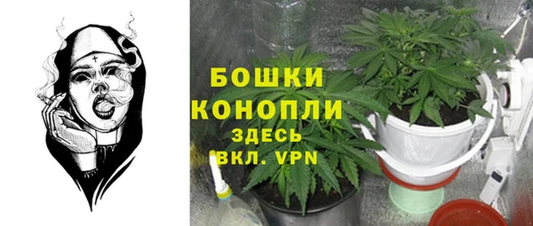 mix Белокуриха