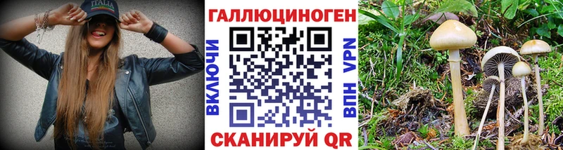 Псилоцибиновые грибы мухоморы  купить наркоту  Невель 